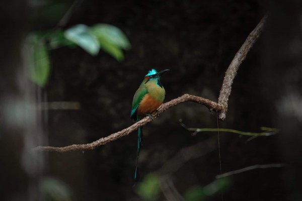 Can You Increase the Off-Road Capabilities of a Range Rover Evoque with Suspension Upgrades?