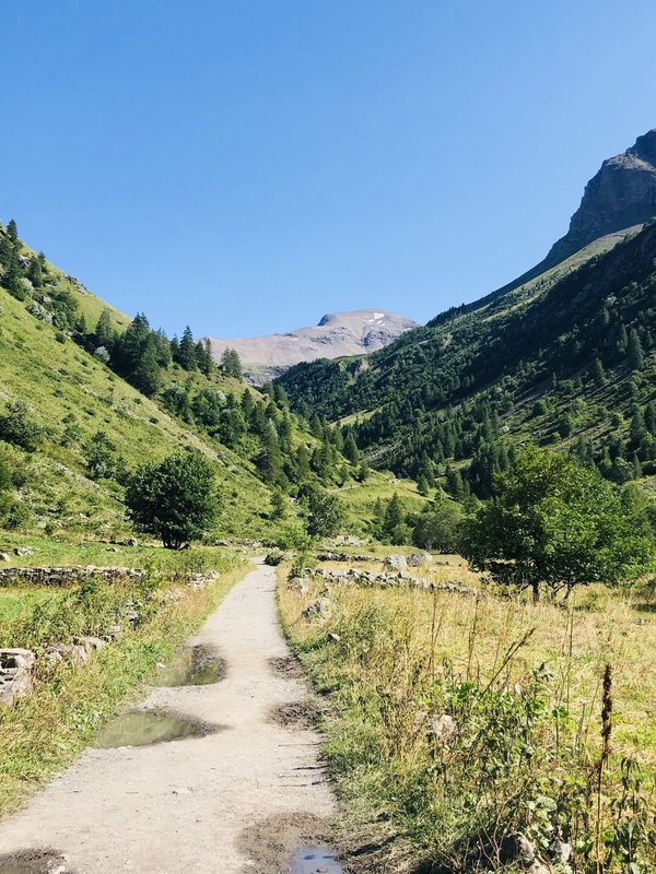 How to Implement Biophilic Design in Office Spaces to Boost Well-being?